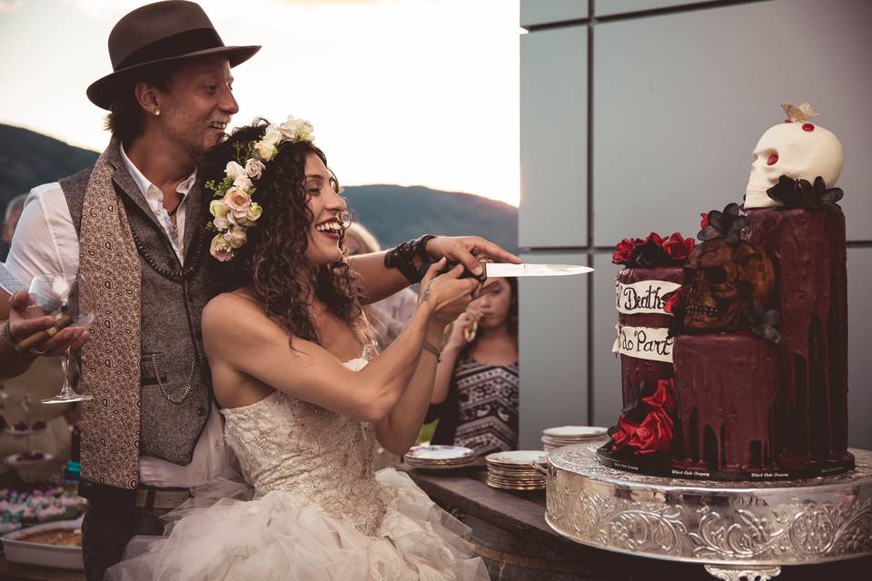 Bride and groom cutting cake