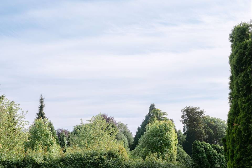 Wide shot of wedding seating