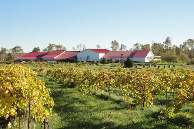 Winegarden Estate Winery & Distillery