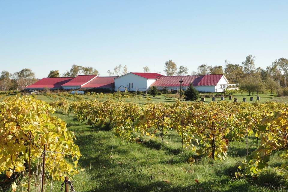 Winegarden Estate Ltd.
