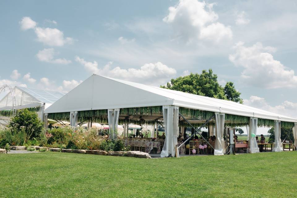 The Venue