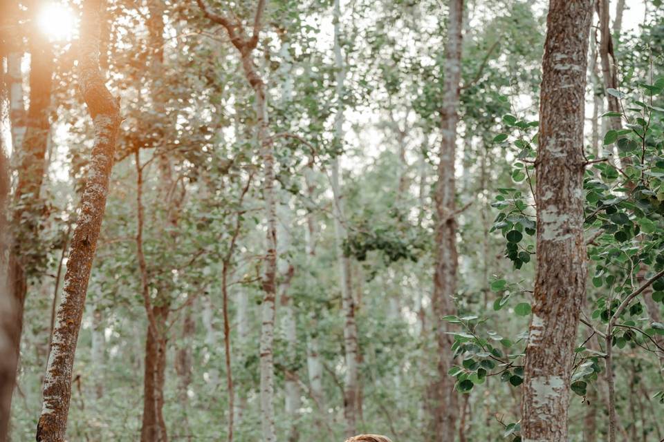 Forest engagement