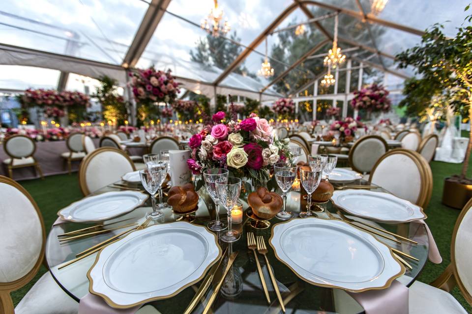 Wedding reception in garden
