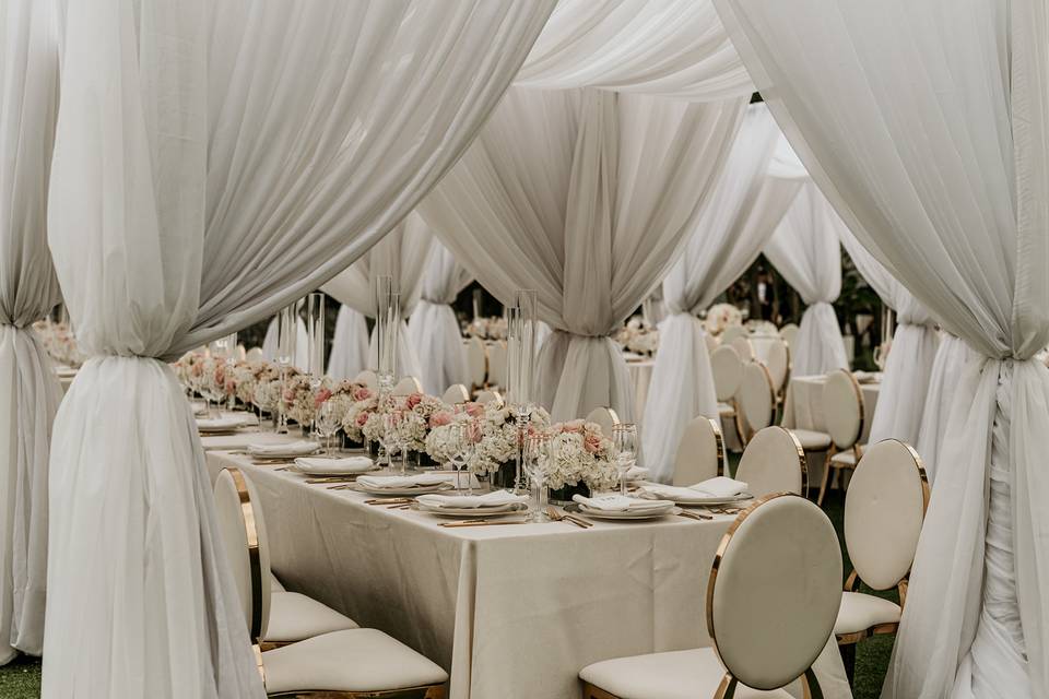 Wedding reception in garden