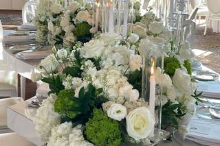 Bloomberry & Co