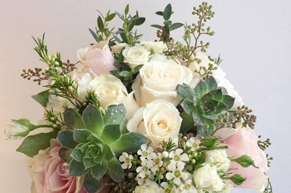 Blush w/ Succulent Bouquet