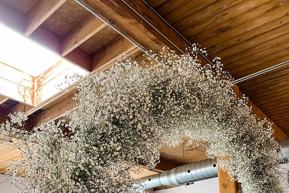 Twist Gallery: Baby's Breath A