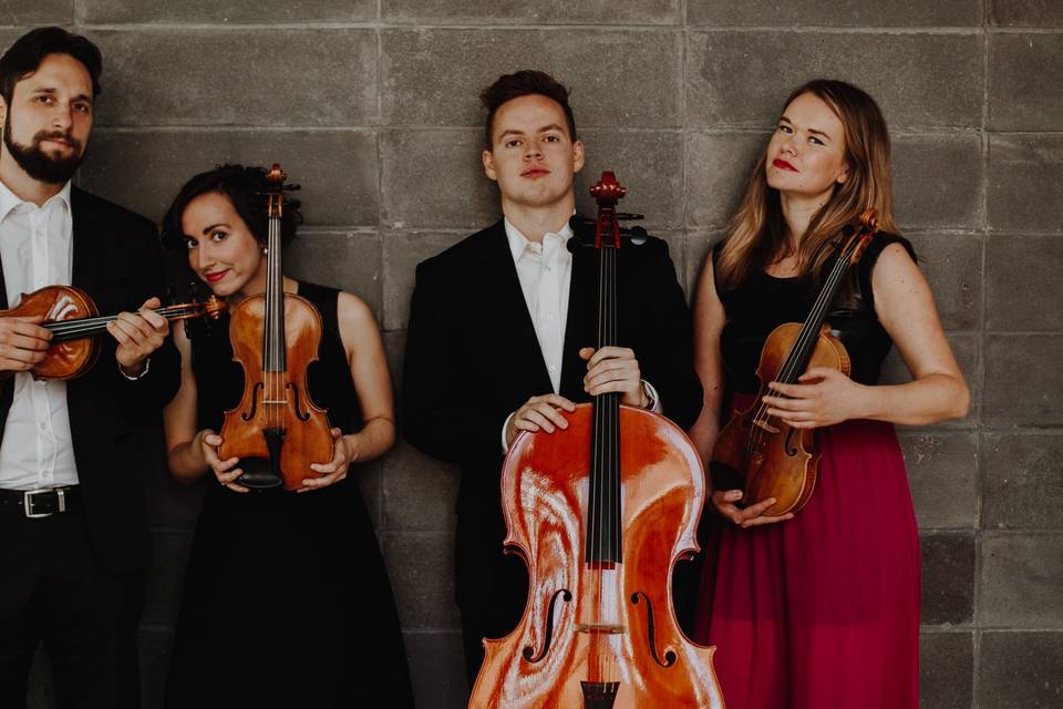 Toronto String Quartet