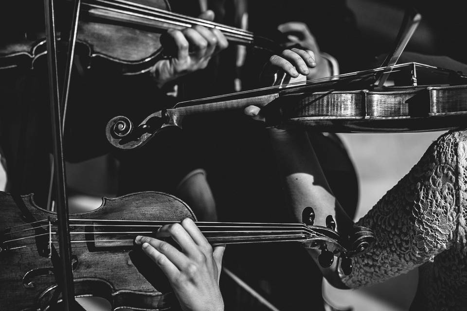 Toronto String Quartet