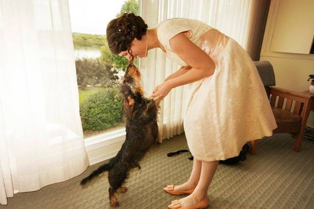 Fun with pets
