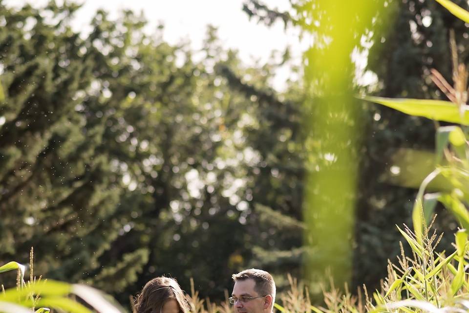 Corn field wedding