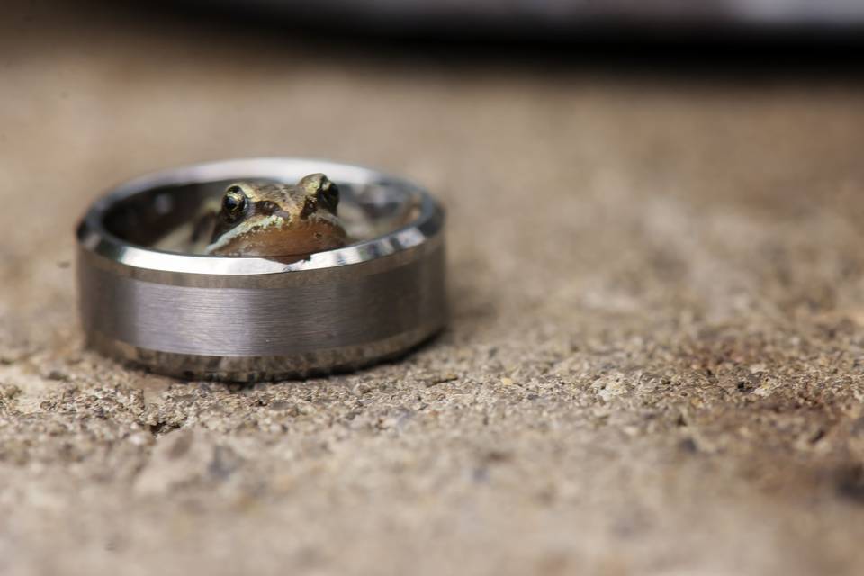 Frog in ring