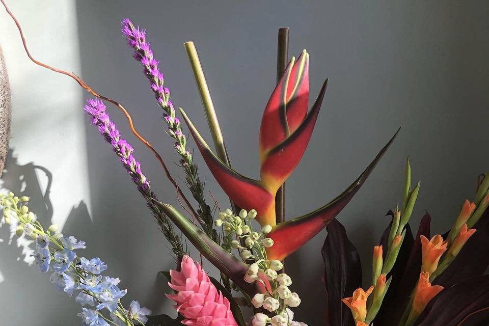 Colourful Arrangement