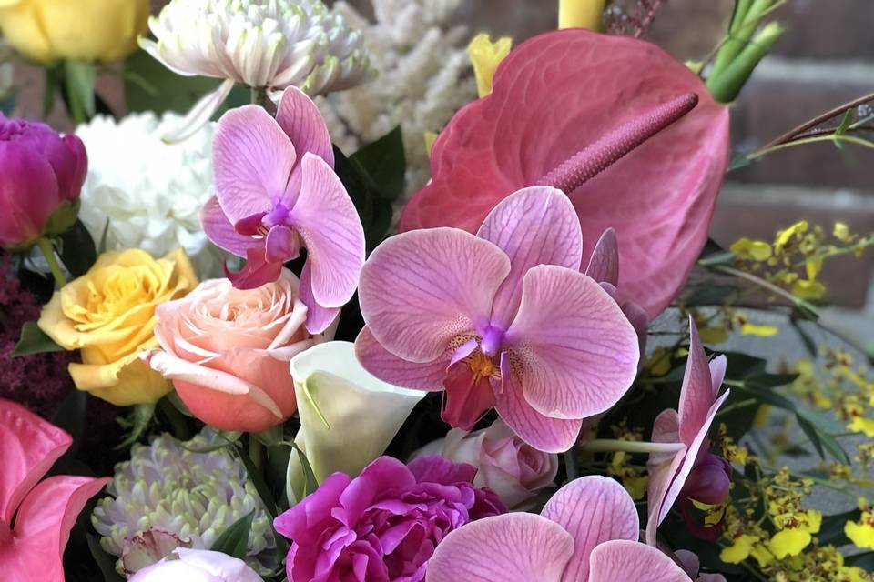 Orchid Arrangement