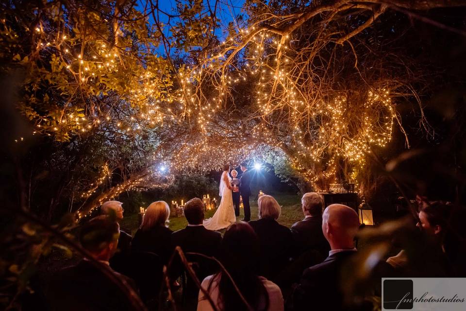 Newlyweds under the moonlight