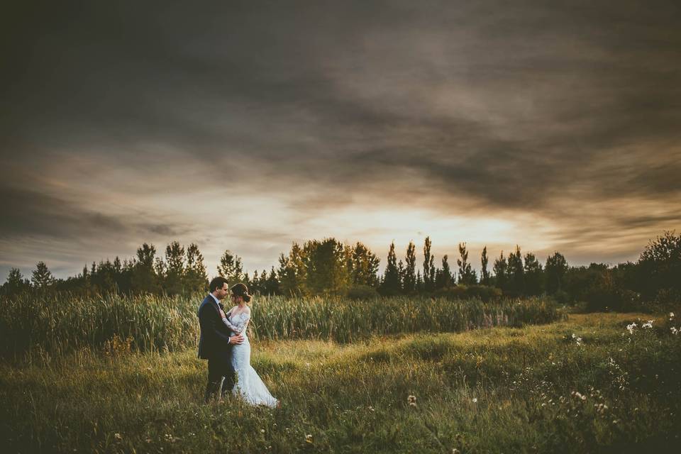 Stormy Sunset Field Portrait