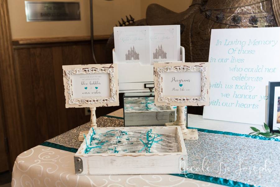 Cinderella wedding programs