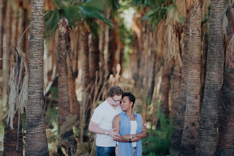 Palm Spring Engagement