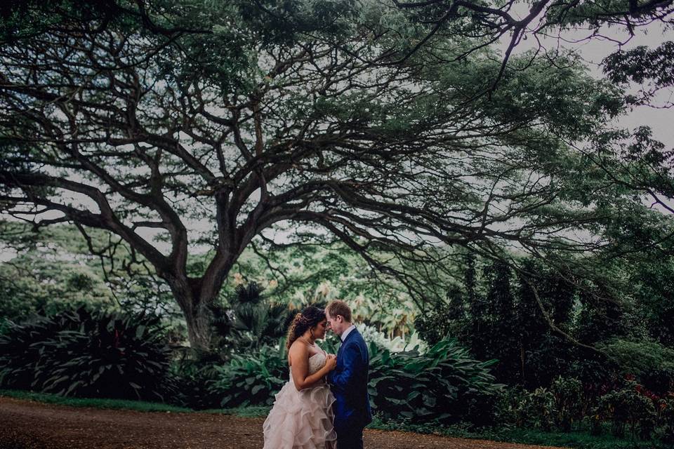 Honolulu Wedding