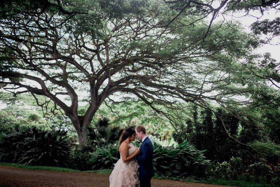 Hawaii Wedding