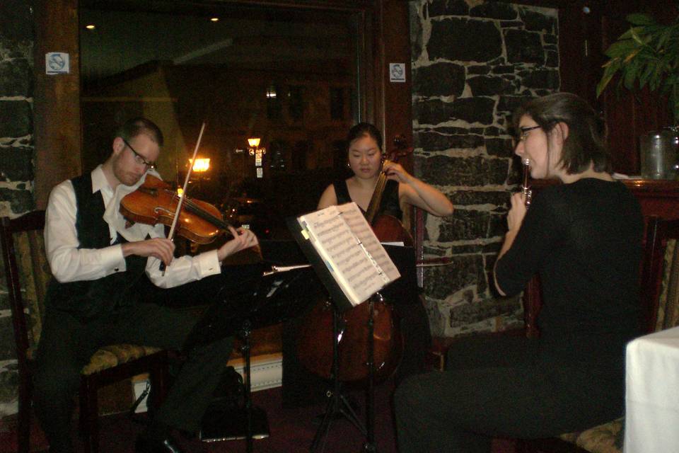 Viola, Cello and Flute Trio