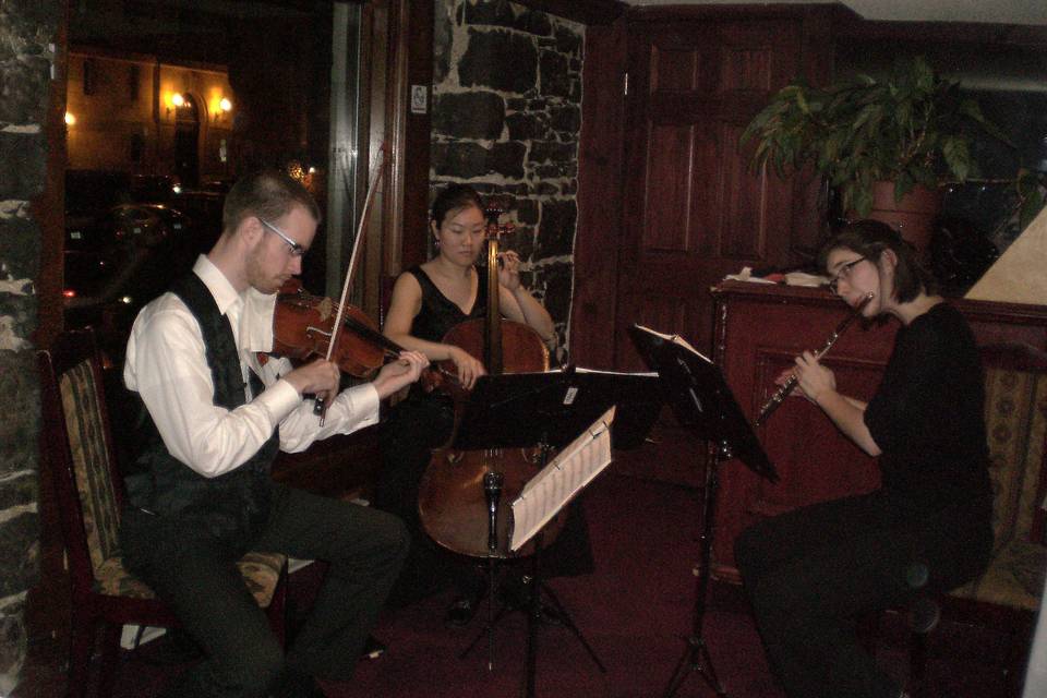 Viola, Cello and Flute Trio