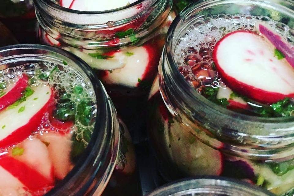 Cilantro Radish Pickles