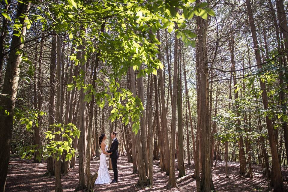 Elora Mill Wedding