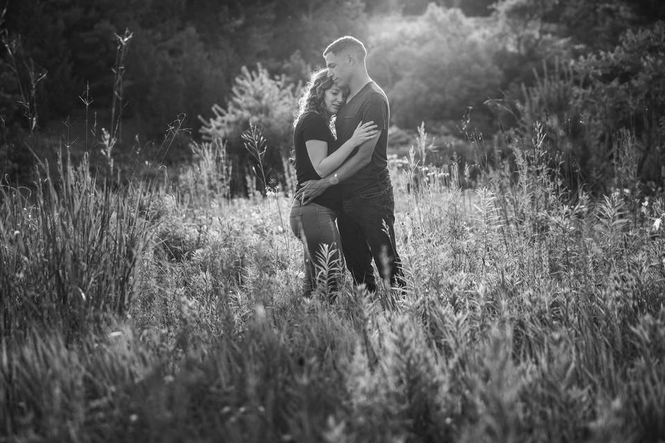 Muskoka engagement