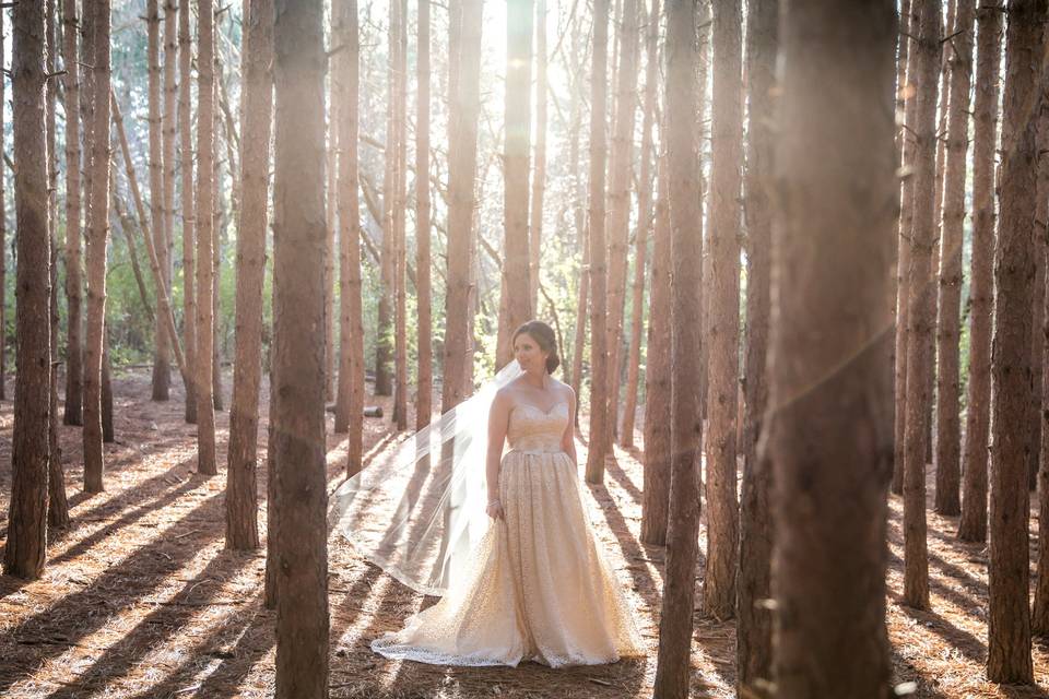 Kortright Centre wedding