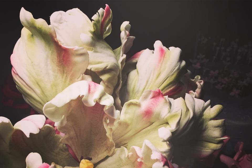 Sugar Flowers- Parrot Tulips