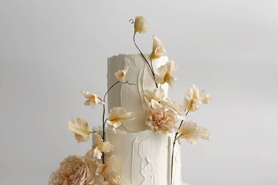 Textured modern cake