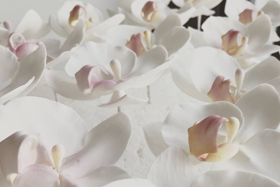 Sugar Flowers- Orchids