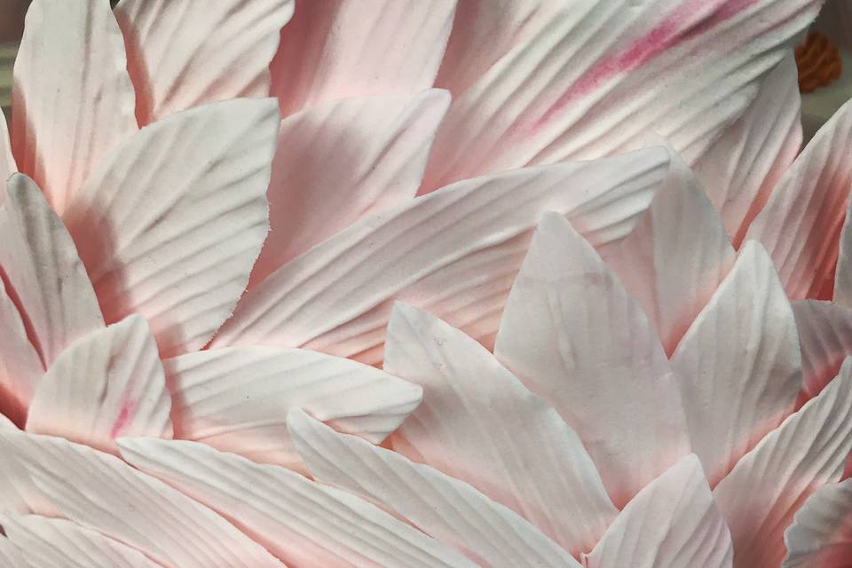 Sugar Flamingo Feathers