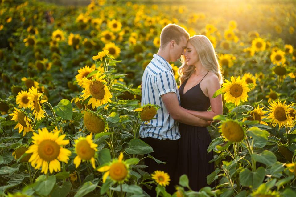 Engagement Session