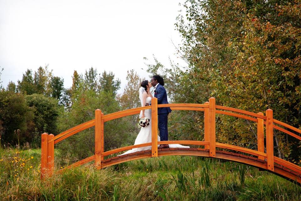 Edmonton wedding photographer