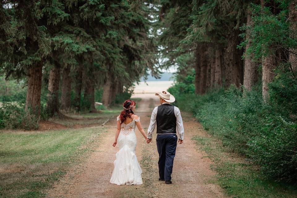 Romantic tree lined drive