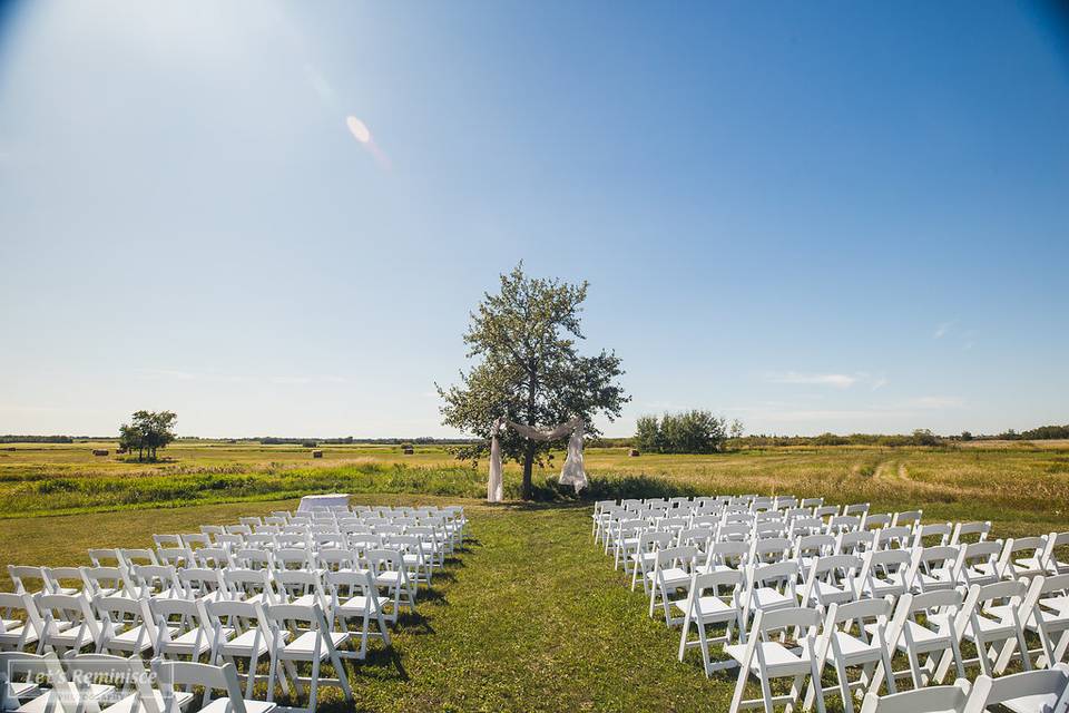 Lighthouse Wedding Coordinator