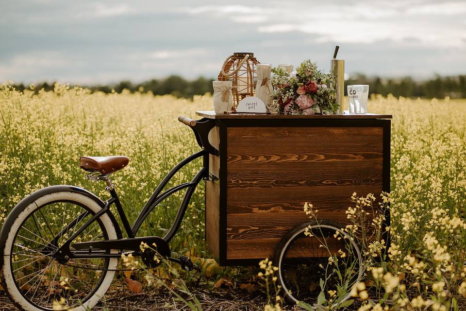 Tipsy Trike mobile bar