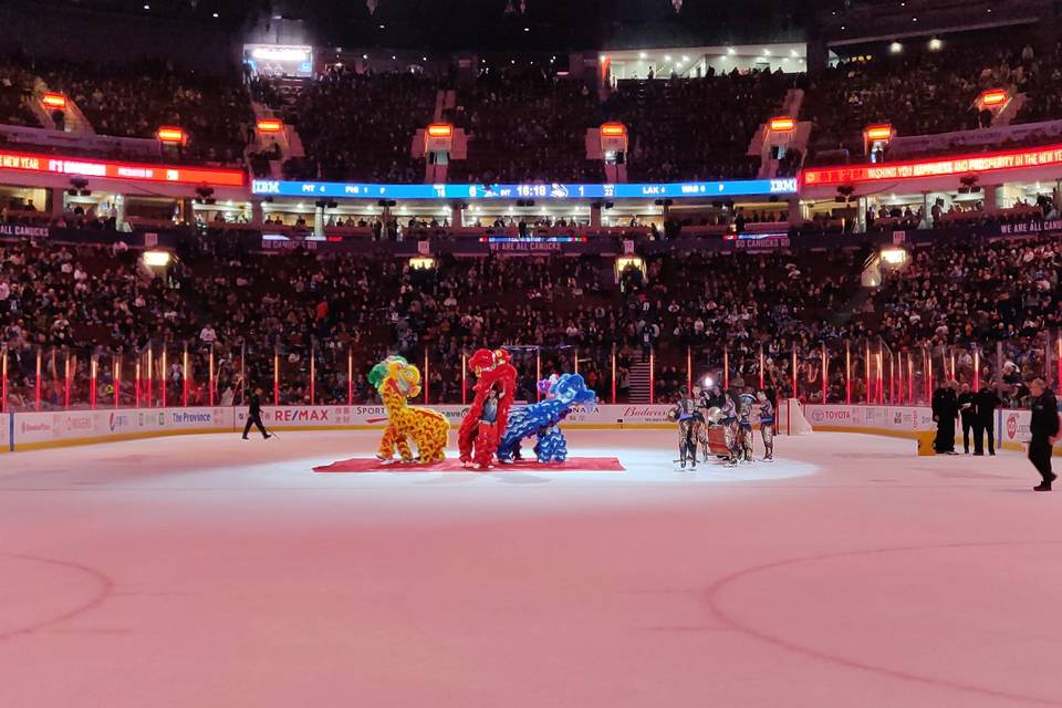 Vancity Lion Dance