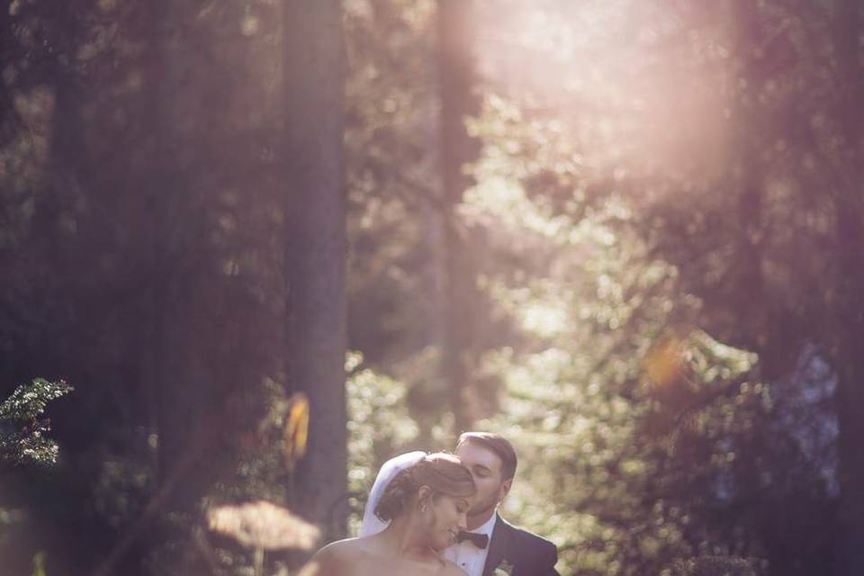 Lake Louise Wedding