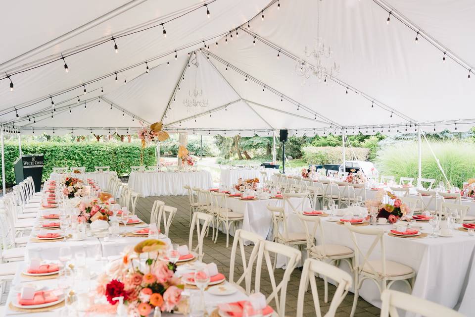 Nighttime Wedding Tent