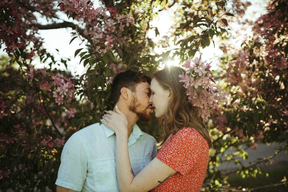 Cherry blossom kisses