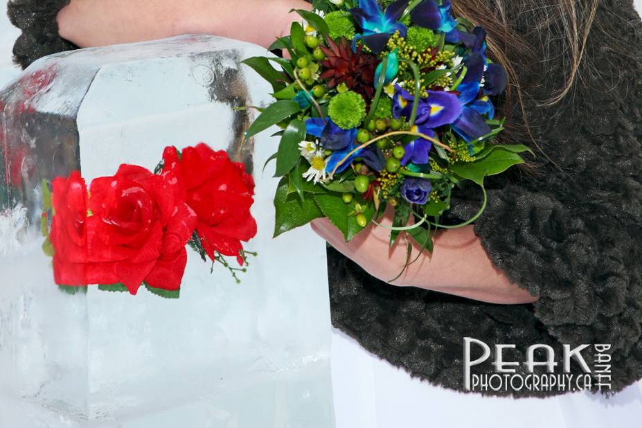 Banff Elopement Photography