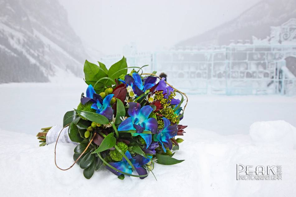 Banff Elopement Photography