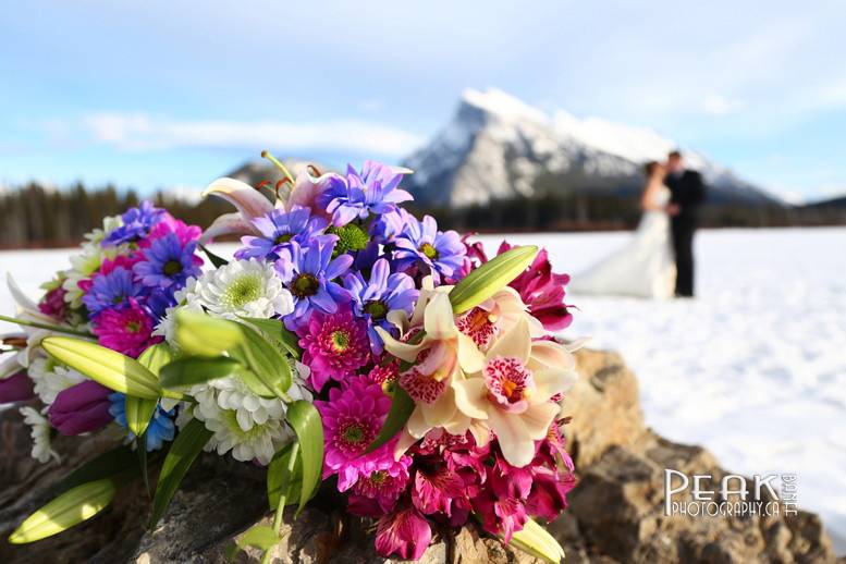 Banff Elopement Photography