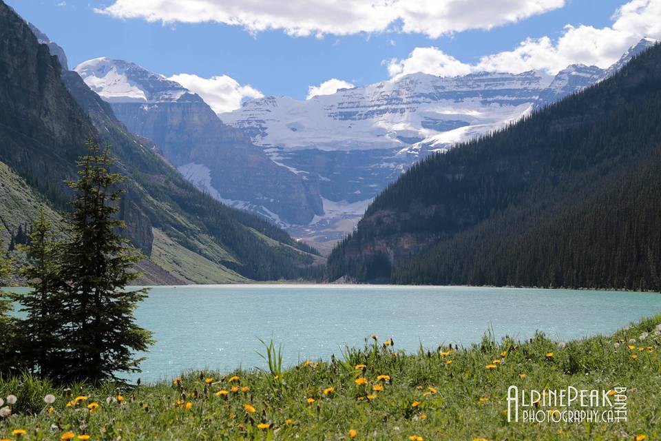 Banff Elopement Photography