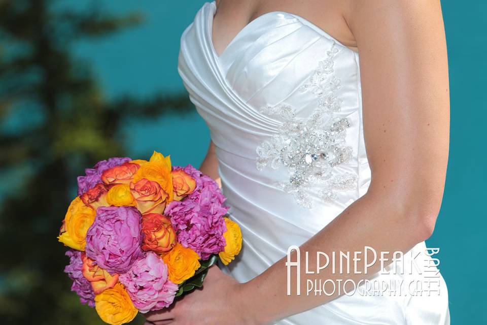 Banff Elopement Photography