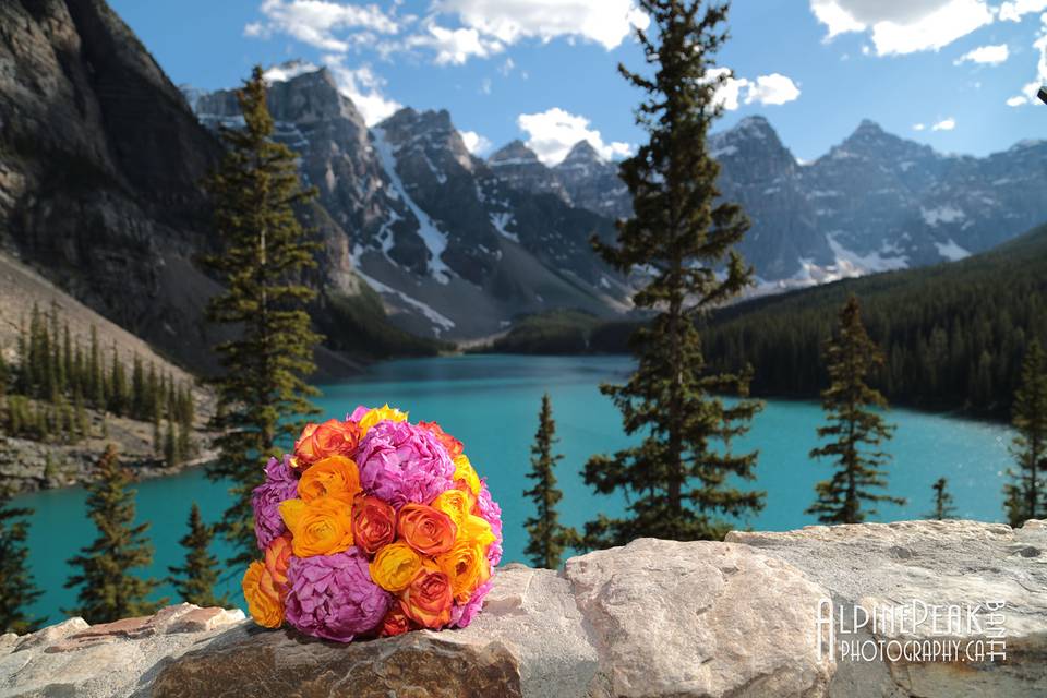 Banff Elopement Photography