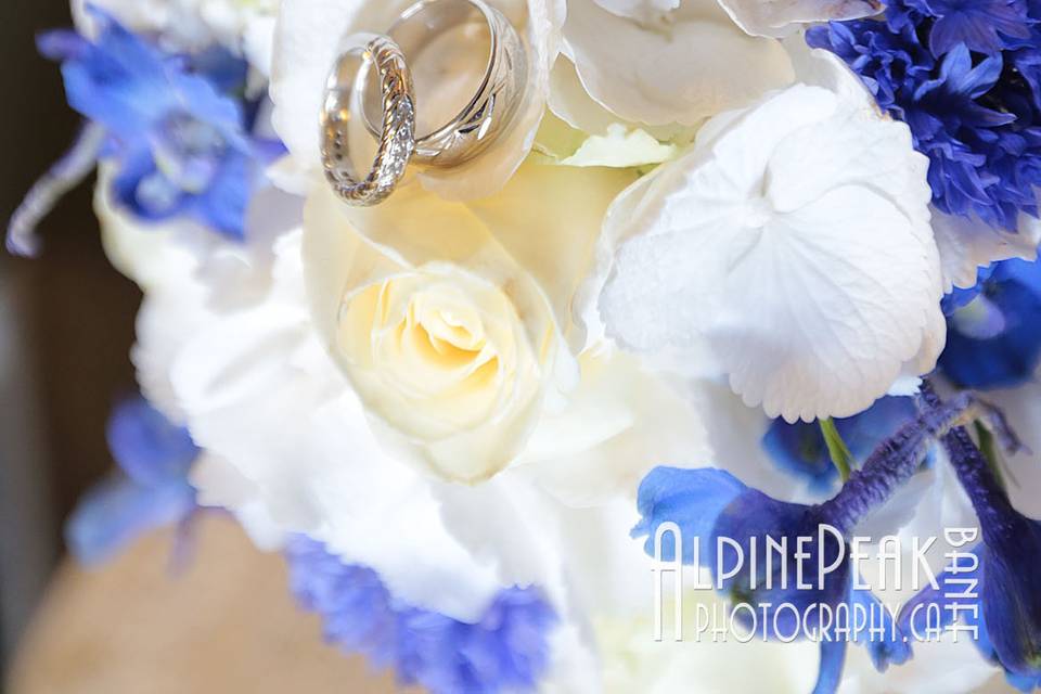 Banff Elopement Photography